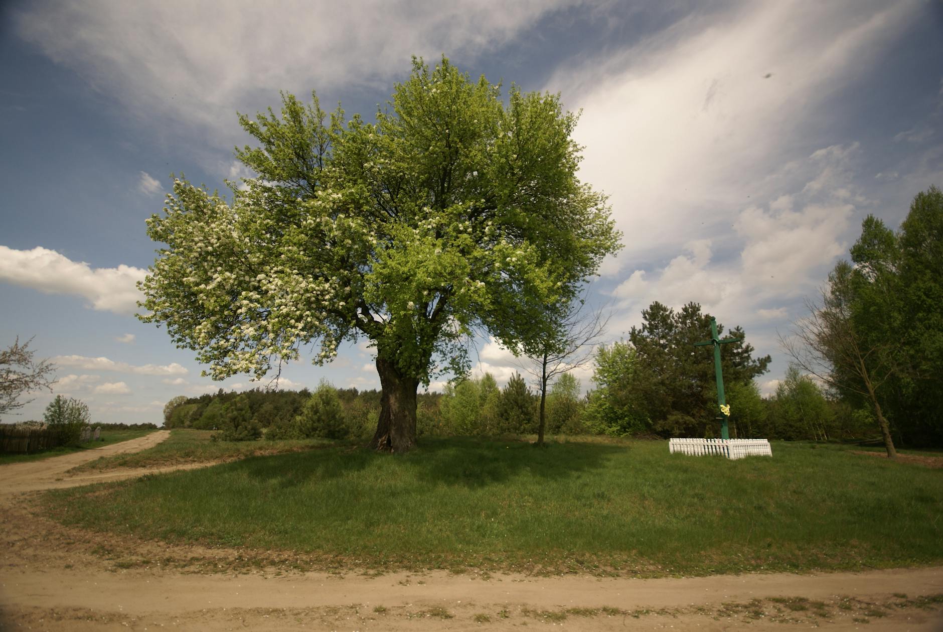 Uczestnicy majowego pikniku w Chodzieży cieszący się zielenią i słońcem.